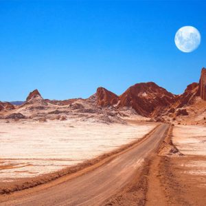 ¡Celebremos el Año Nuevo juntos!